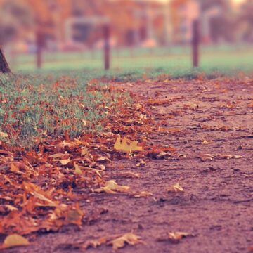 Tour de France: Nice will host the 2020 Grand Depart